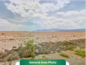 Your Family’s Backyard Starts at $50/Month – 0.52 Acres