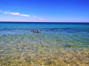 Land with olives 3 km from the Sea