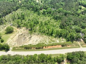 21 +/- Acres for Auction! Amite, Louisiana