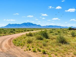 Residential Land for Sale in Deming, New Mexico
