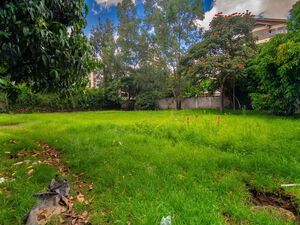Vacant Land For Sale In Westlands Nairobi Kenya