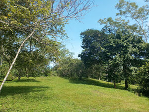 Amazing lots for sale: your paradise in Montezuma Costa Rica