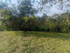 Your paradise in Montezuma (South Nicoya) Costa Rica