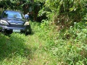 6618m² RESIDENTIAL FARM LOT, LIPA, BATANGAS, PHILIPPINES
