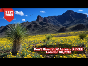 BUY 1 Get 3 MORE Lots FREE, Totaling 2.32 Acres For $6,775