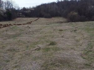 Plots for sale in Ravna Gora
