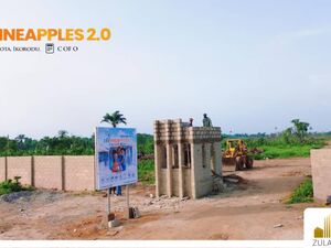 The Pineapples 2.0