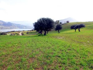 sh 603 land plot, Caccamo