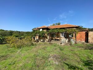 Cheap house in Izvorovo 10 km from General Toshevo