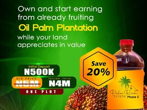 Palm Rich Phase 5