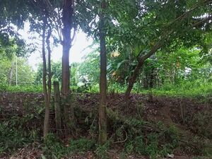 8383 m² RESIDENTIAL FARM LOT, Talisay, Batangas, Philippines