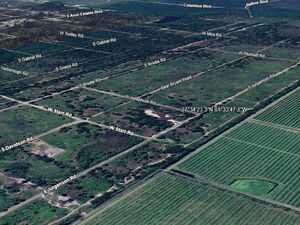 Vacant Land With Orchard Views 1.15 Acres in Avon Park, FL