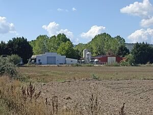 Spanish Countryside Opportunity: 5 Acres of Land and Farms