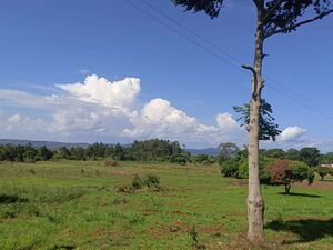 Lakefront Land Touching Lake Victoria In Bwerenga Uganda