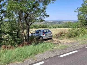 Viewpoint of the land next to the main road Smederevska Pala