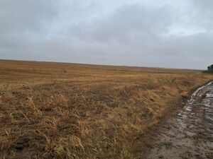 Land for sale Irig-Neradin