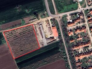 Development Land – 1 Hectare | Vršac, Serbia
