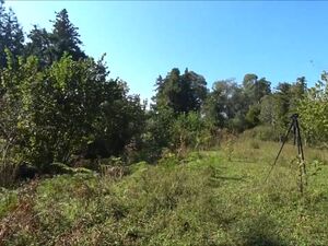 The plot of land 