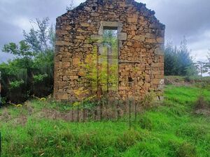 Farm Aveleira with a ruin and a total area of 7,000 m2