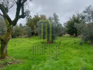 Plot of rustic land with viability for construction 