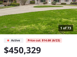 Countryside House for Sale: USA