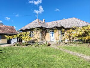TRADITIONAL HOUSE