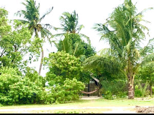 Kalpitiya Lagoon front land available for sale 
