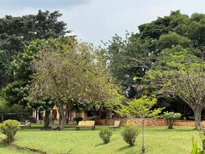 Riverfront Resort For Sale Along River Nile Jinja Uganda