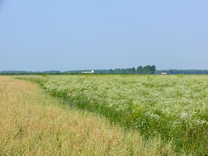 land for warehouse near Bucharest