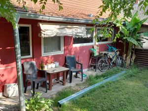 House for sale in the center of Kovin