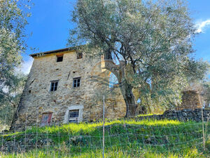 iv1133 Rustic house to renovate – Sasso di Bordighera