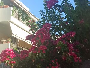 2nd floor flat 6km from ATH airport