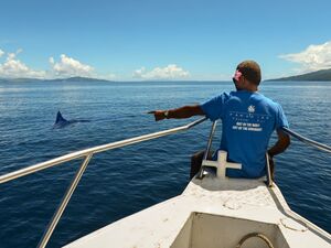 Investment Opportunity - Top Diving Resort in Fiji.