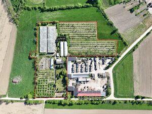FARM FOR SALE - INVESTMENT -WORKING ORCHARDS (SCHENGEN AREA)