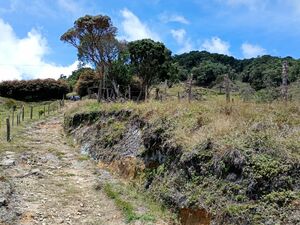 Eco-Retreat Property in Colombia 30 Hectares Natural Spring 
