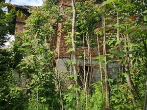 Property for refurbishment in Mihaltsi North of VT