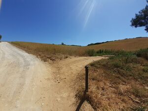 Finca with 27 hectares near Sotogrande
