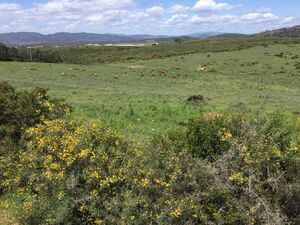 200 hectares rural land