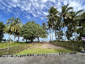 BEACH HOUSE AND LOT