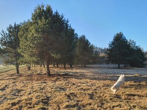 A unique opportunity: Stone River 1.28 ha JURA PARK