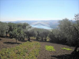 agricultural building plot with view Guardialfiera lake