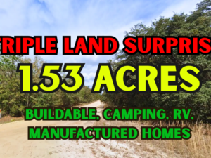 RARE 3 Adjacent Land Alert! 1.53-Acre Land for JUST $50/Down