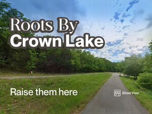 $98 Gets You 0.37 Acre Land Near the Lake Click to Own It