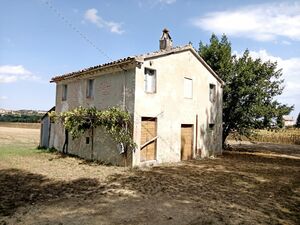 Rural building with land in Corinaldo, a beautiful historic 
