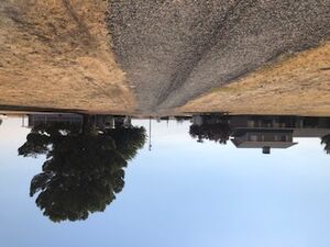 Rural setting central valley of California