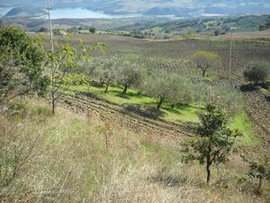 Agricultural land suitable for building with lake view -AG60