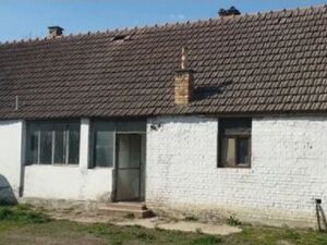 House and plot in Žabalj