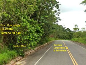 For sale: 50-hectare rural land. Puerto Inca - Huánuco