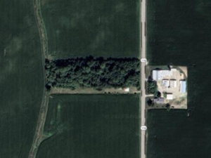 5 ACRES FOR SALE