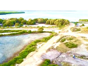 Kalpitiya Lagoon front land available for sale 